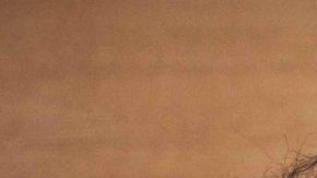 Courtesy of Apple Music