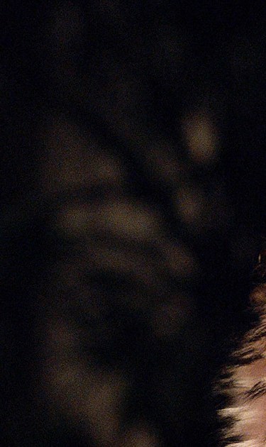 Valeria Bertuccelli appears in The Queen of Fear by Valeria Bertucelli and Fabiana Tiscornia, an official selection of 2018 Sundance Film Festival. Courtesy of Sundance Institute.
