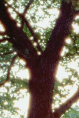 Raul Castillo and Evan Rosado appear in We The Animals by Jeremiah Zagar, an official selection at 2018 Sundance Film Festival. Courtesy of Sundance Institute. Photo by Zak Mulligan