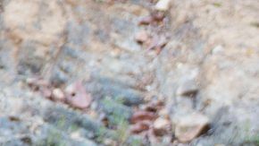 Courtesy of Miami Film Festival