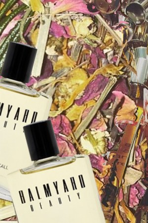 Art by Alan López for Remezcla