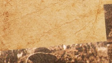 Collage by Alan López for Remezcla