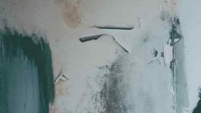 Courtesy of Centavrvs