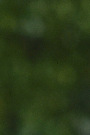 Selena Gomez and The Weeknd attend the Costume Institute Gala at Metropolitan Museum of Art.  Photo by Theo Wargo/Getty Images For US Weekly
