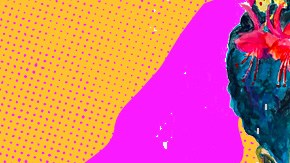 Art by Alan López for Remezcla