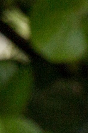 Photo by Maria Esquinca for Remezcla