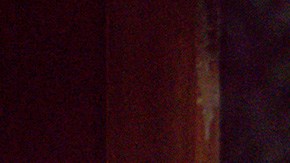 'Murder in the Woods' still courtesy of Chicago Latino Film Festival