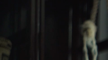 Leo Herrera in screenshot from KQED's 'Behind the Lens.'