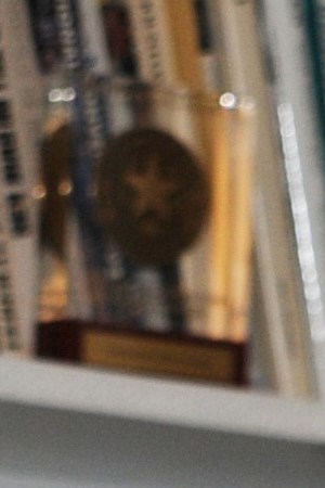 Creative Commons "Sylvia Garcia in 2013” by Dereksd34 is licensed under CC BY 4.0