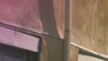 Courtesy of The Syndicate