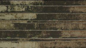 Courtesy of the Miami Film Festival