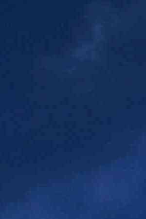 Creative Commons "UC Berkeley Campus Image" by Charlie Nguyen is licensed under CC BY 2.0