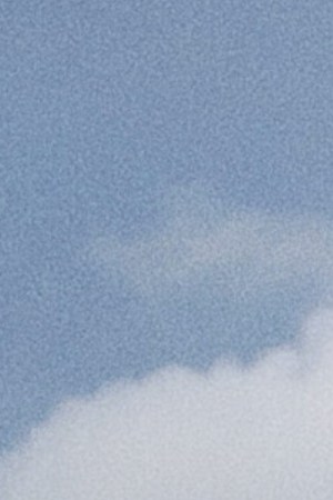 Still image from 'Vietnam, Puerto Rico.' Courtesy of the filmmaker.