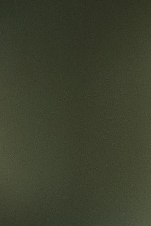 Courtesy of Andre Veloz