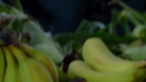 This image is in the public domain.