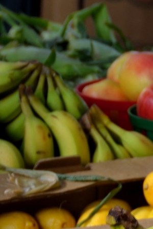 This image is in the public domain.