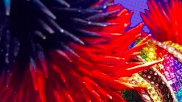 Art by Alan Lopez for Remezcla