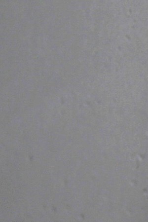 'Medea' still. Courtesy of International Film Festival Panama