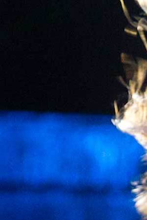 'Una mujer fantastica' (A Fantastic Woman). Courtesy of Sony Classics