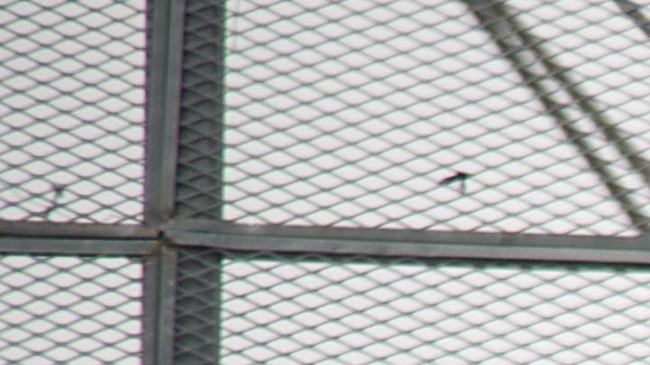 A flag hangs from a highway overpass that reads “Estamos de pie,” in Caguas, Puerto Rico, which is meant to motivate people to stay strong and overcome the disaster left behind Hurricane Maria. Photo by Airman 1st Class Caleb Nunez for  U.S. Air Force. This photo is licensed under CC BY 2.0.