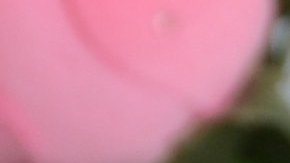 Photo by	sbossert/ iStock / Getty Images Plus