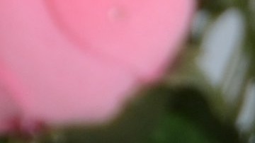 Photo by	sbossert/ iStock / Getty Images Plus