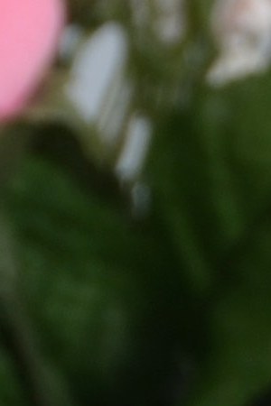 Photo by	sbossert/ iStock / Getty Images Plus