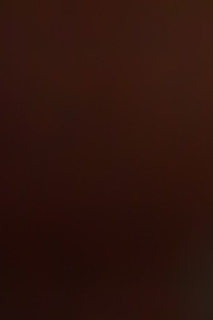 Photo by Getty Images