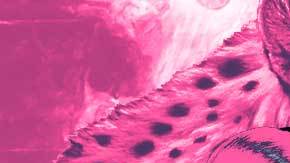 Art by Alan Lopez for Remezcla