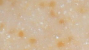 Andrea Murdoch's Amaranth Pudding. Photo by Andi Murphy