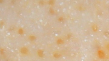 Andrea Murdoch's Amaranth Pudding. Photo by Andi Murphy