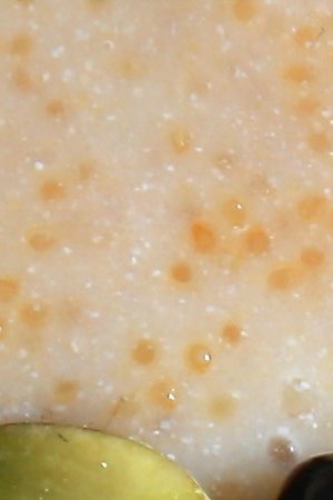 Andrea Murdoch's Amaranth Pudding. Photo by Andi Murphy