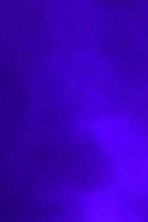 Bad Bunny performs onstage during Calibash Los Angeles 2018 at Staples Center. Photo by Kevin Winter/Getty Images