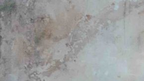 Courtesy of Centavrvs