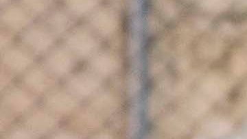 'Club de Cuervos' photo by Federico Garcia Castañeda. Courtesy of Netflix