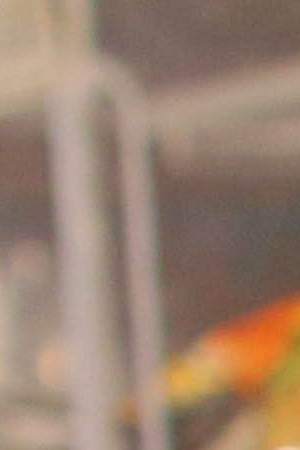 Elvia's panaderia. Photo by Samanta Helou for This Side of Hoover