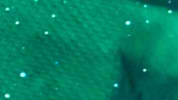 Photo by Roc Canals / Moment