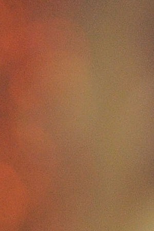 Sofia Vergara arrives to the premiere 'New Year's Eve'. Photo by Jason Merritt/Getty Images