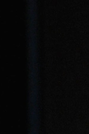 Junot Díaz attends the Jersey Boys during The New Yorker Festival 2014.  Photo by Andrew Toth/Getty Images for The New Yorker Festival