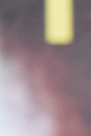 Actor Will Smith attends the Warner Bros. Pictures' "Focus". Photo by Jason Merritt/Getty Images