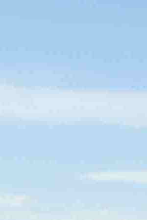 Mexican farm workers hoe a cabbage field. Photo by John Moore/Getty Images