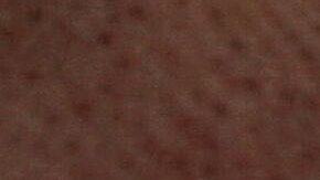 Photo by Pamela Hennessey / FOAP