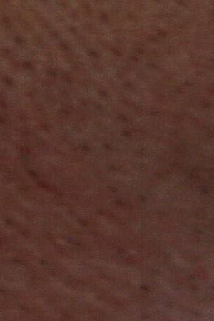 Photo by Pamela Hennessey / FOAP