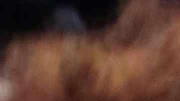 Solange Knowles, hip hop artist Jay-Z and daughter Blue Ivy Carter during The 59th GRAMMY Awards. Photo by Christopher Polk/Getty Images for NARAS