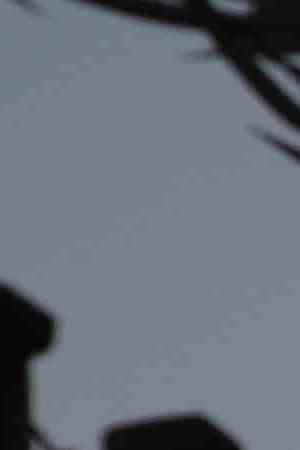 The border fence between the United States and Mexico. Photo by John Moore/Getty Images