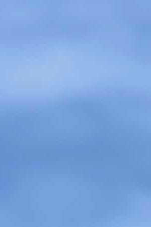 Photo by nirat / iStock / Getty Images Plus