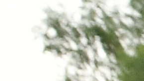 Immigrants and supporters march on the Las Vegas Strip during a "We Rise for the Dream" rally. Photo by Ethan Miller/Getty Images