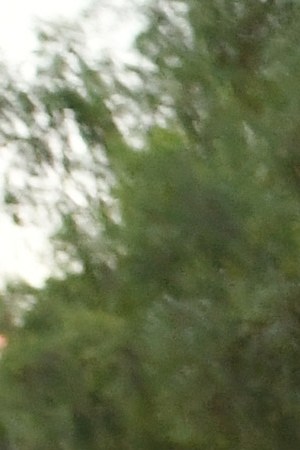 Immigrants and supporters march on the Las Vegas Strip during a "We Rise for the Dream" rally. Photo by Ethan Miller/Getty Images