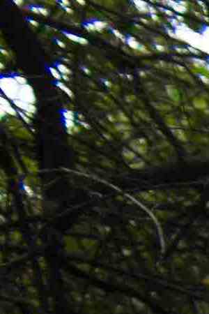 A support truck drives near Parque Mexico in the Condesa district the day after an earthquake on September 20, 2017. Photo by Rafael S. Fabres/Getty Images