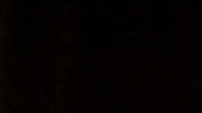 U.S. Senate Democratic Leader Chuck Schumer (D-NY), speaks at the University of Louisville's McConnell Center. Photo by Bill Pugliano/Getty Images